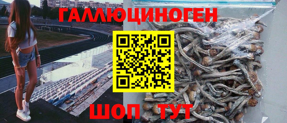 Галлюциногенные грибы GOLDEN TEACHER  Псилоцибиновые грибы мицелий  Омск  Вход с VPN 